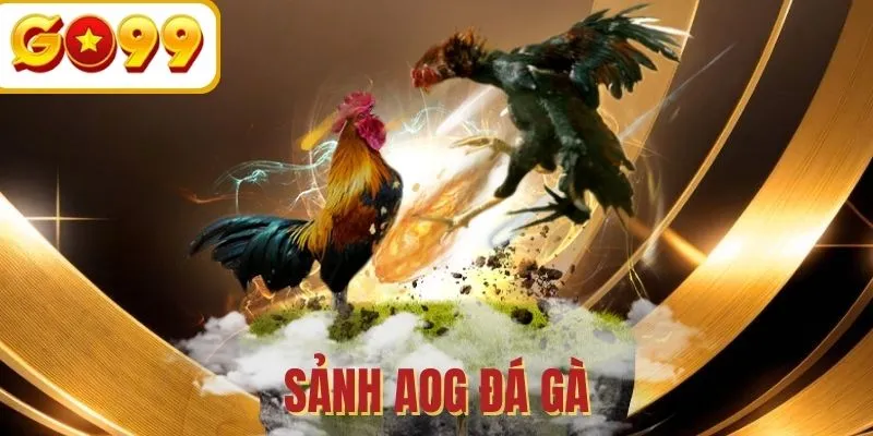 AOG đá gà - Sảnh tranh tài chất lượng 5 sao cho mọi kê thủ