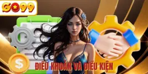 Điều khoản và điều kiện - Quy định bảo vệ quyền lợi đôi bên